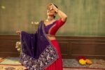 Lehenga Choli with Embroidery & Mirror Work - Image 7